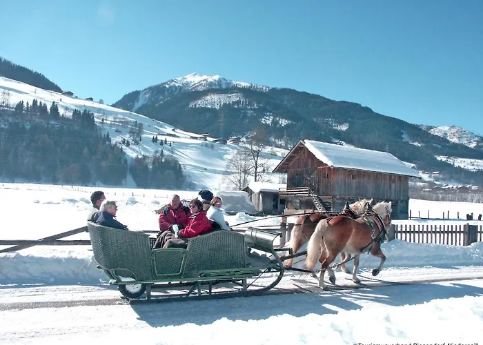 Alpinresort 3 By Interhome 公寓 *
